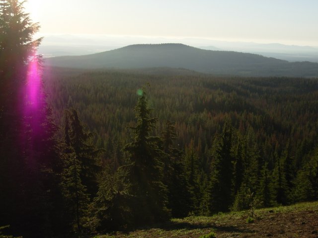 Summer '06 Sunriver II 017 